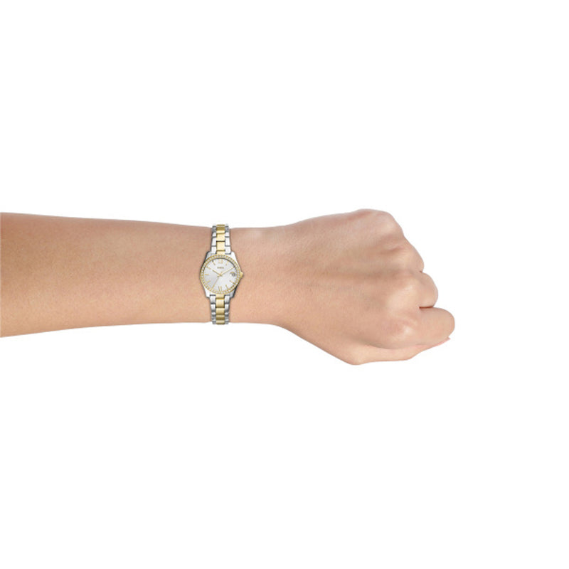 Fossil Ladies Scarlette Mini Watch ES4319