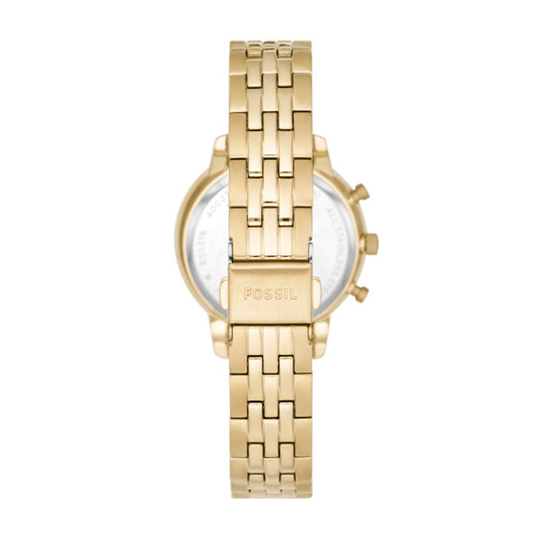 Fossil Netura Ladies Watch ES5219