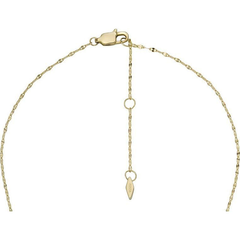 Fossil Ladies Necklace and Earrings Set JF04246set