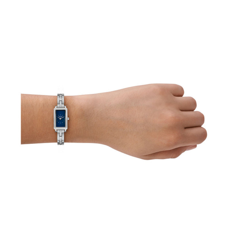 Skagen Ladies Hagen Micro Watch And Earrings Gift Set SKW1157