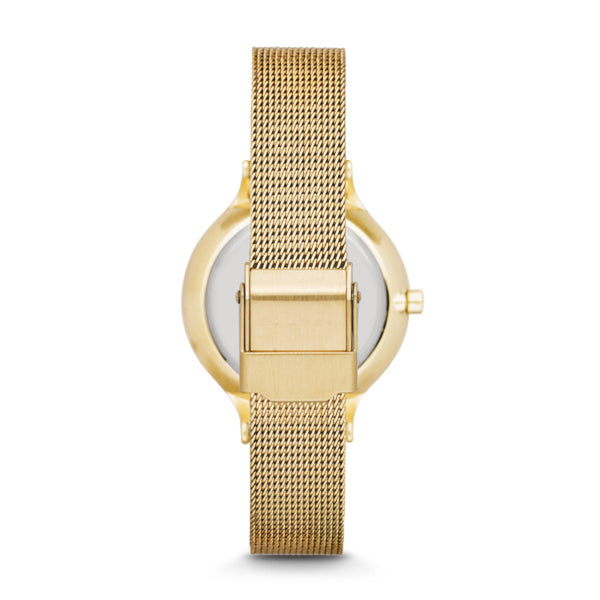 Skagen Ladies Anita Watch SKW2150