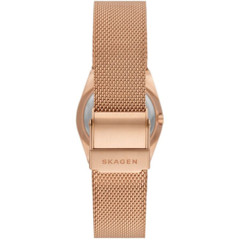 Skagen Ladies Grenen Lille Watch SKW3035