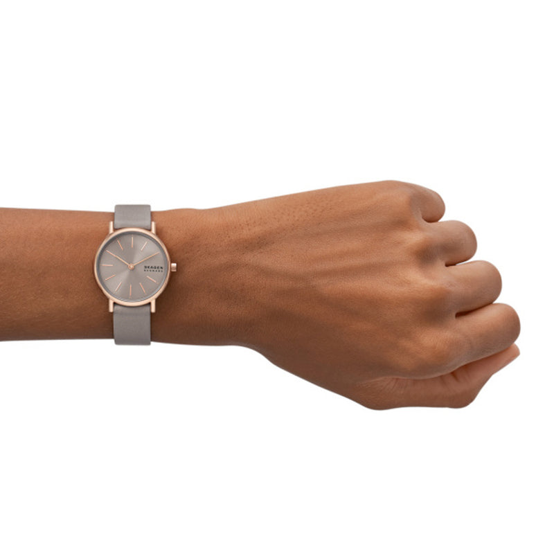 Skagen Ladies Signatur Lille Watch SKW3060
