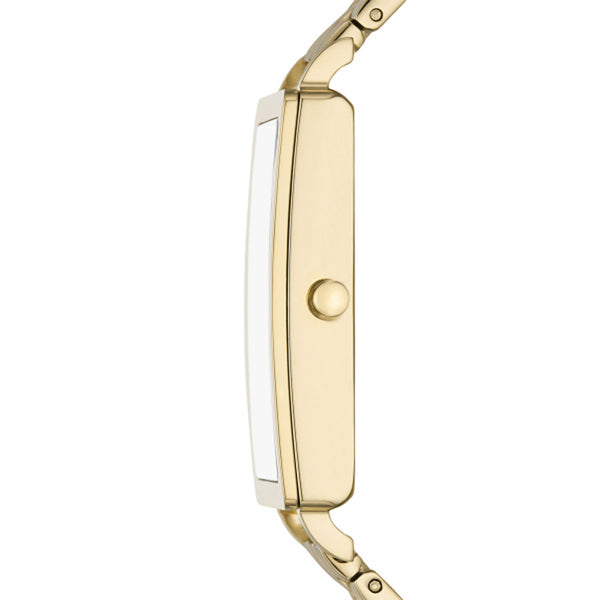 Skagen Ladies Hagen Lille Watch SKW3098