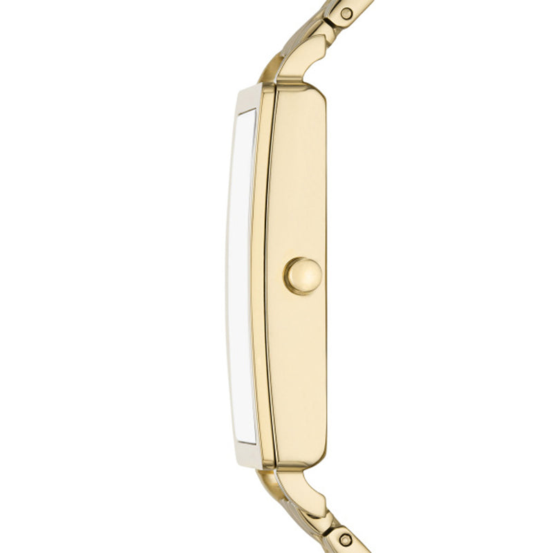 Skagen Ladies Hagen Lille Watch SKW3098