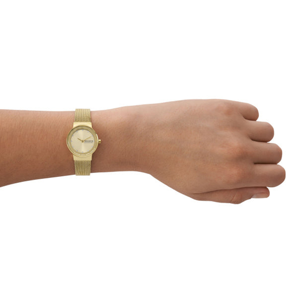 Skagen Ladies Freja Lille Watch SKW3110