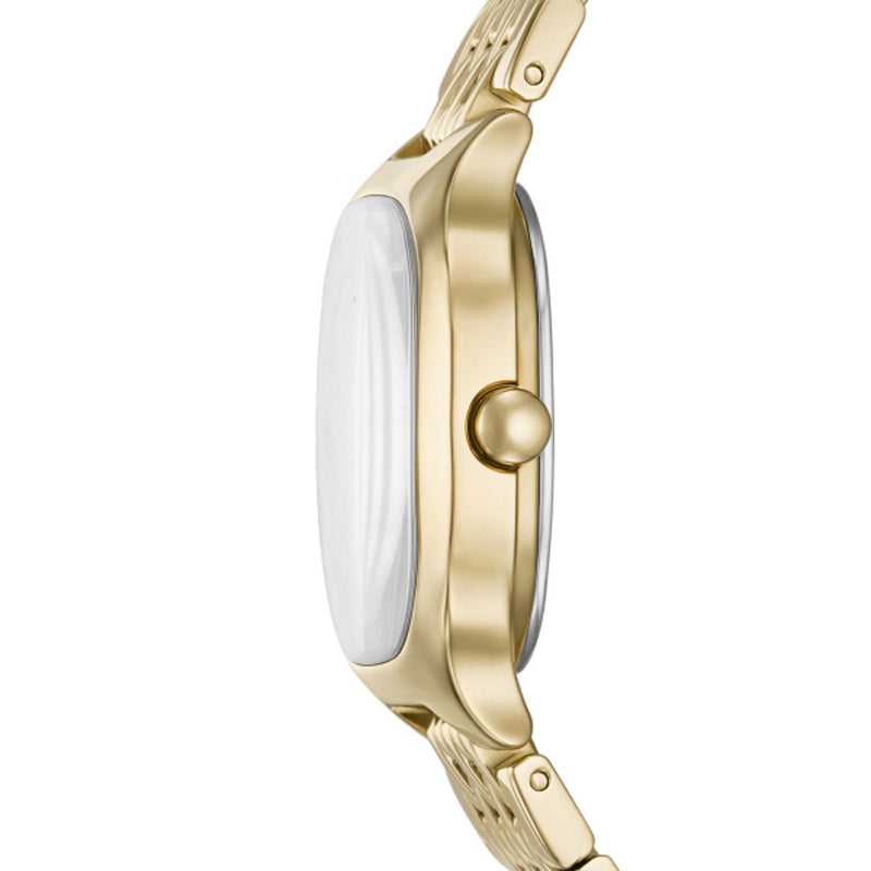 Skagen Ladies Mellem Lille Watch SKW3162