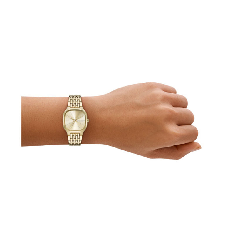 Skagen Ladies Mellem Lille Watch SKW3162