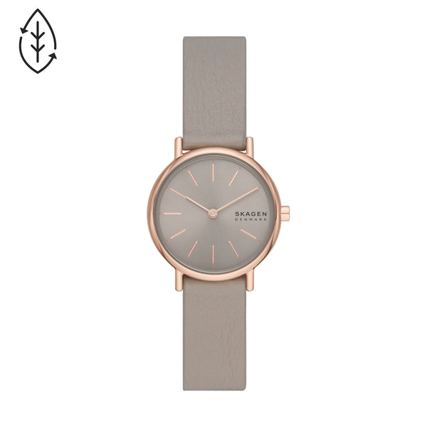 Skagen Ladies Signatur Lille Watch SKW3060